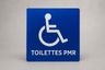 Pictogramme handicap PMR - vue 1